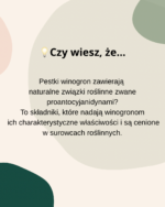 SYGME LAB OPC 95% POLIFENOLE 60 kaps. Ekstrakt z Pestek Winogron - obrazek 2