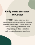 SYGME LAB OPC 95% POLIFENOLE 60 kaps. Ekstrakt z Pestek Winogron - obrazek 3