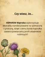 SYGME LAB HEPAREM Wątroba Karczoch Ostropest Mniszek, mocny DER - obrazek 2