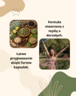 SYGME LAB ParaFiks 60 kapsułek 10 ekstraktów ziołowych piołun czarnuszka oregano - obrazek 4