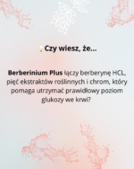 SYGME LAB BERBERINIUM PLUS 60 kaps berberyna HCL cynamon morwa imbir chrom - obrazek 2