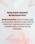 SYGME LAB BERBERINIUM PLUS 60 kaps berberyna HCL cynamon morwa imbir chrom - obrazek 3