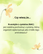 SYGME LAB NAC N-acetylo-L-cysteina 60 kaps. - obrazek 2
