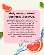 Elektrolity Grapefruit + Bidon GRATIS SYGME LAB - obrazek 3